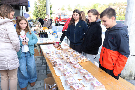 Jesenski sejem in bazar semen 06 Foto Ljubo Vukelič